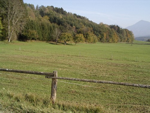 Zeluce 191003 027.jpg